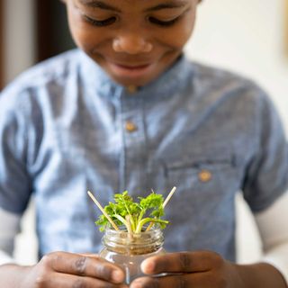 small boy holding jar of celery growing from base