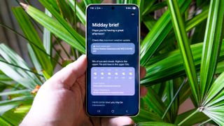 Samsung Galaxy S25 FE in hand with long green leaves behind