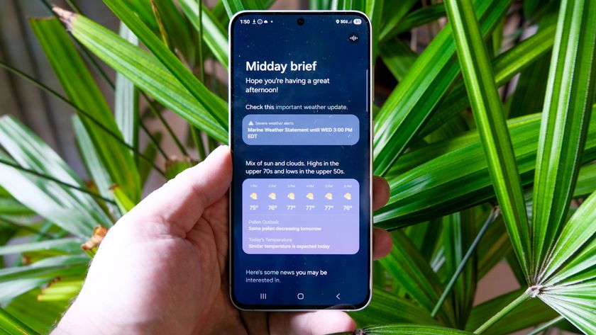 Samsung Galaxy S25 FE in hand with long green leaves behind