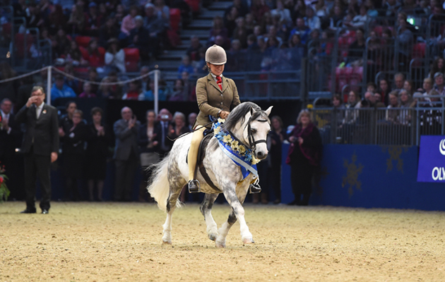 Olympia 19 12 2016
