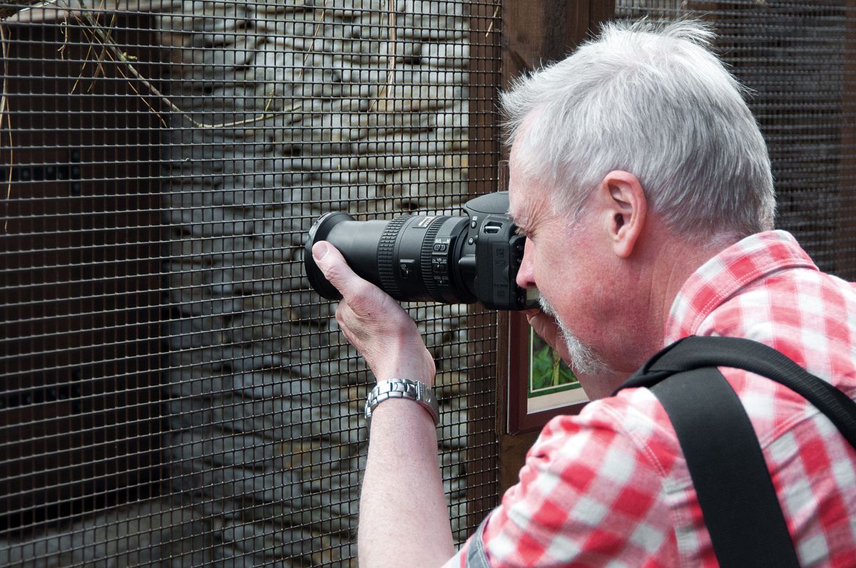 Zoo photography tips: how to get great pictures of animals | Digital ...