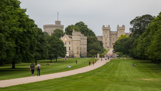 View of The Long Walk and Windsor Castle