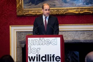 Prince William giving a speech