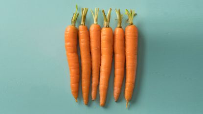 Health benefits of carrots: a row of fresh bright orange carrots on a turquoise background