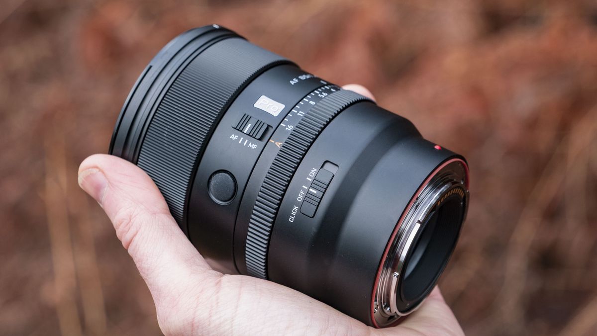 Side barrel of the Viltrox AF 85mm F1.4 Pro lens in photographer's hand, outdoors and with bronze-colored ferns in the background