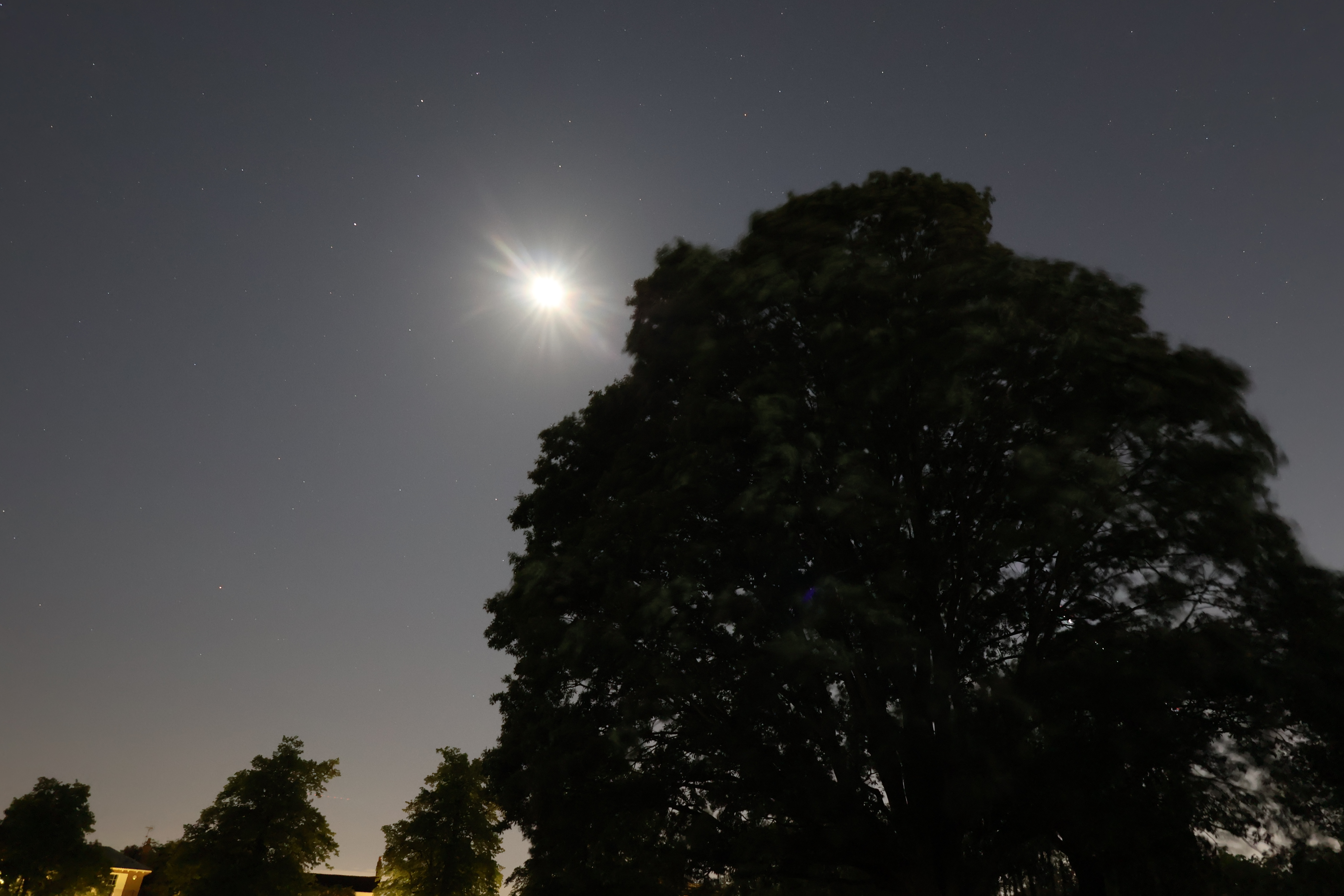 Picture of the moon and a tree taken with Canon EOS R50 V