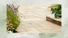picture of light patio slabs in a garden with plants around it 