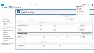 Screenshot of Salesforce Licenses page