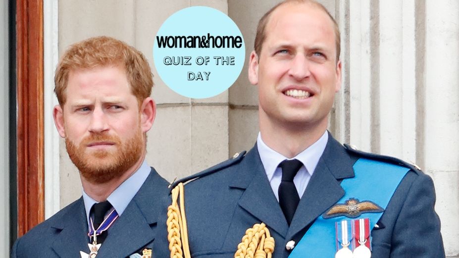 Quiz of the Day - Prince William and Prince Harry 
