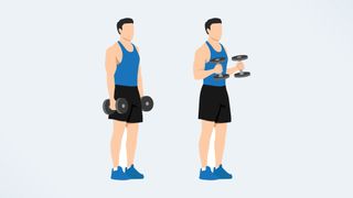 an illo of a man doing a hammer curl