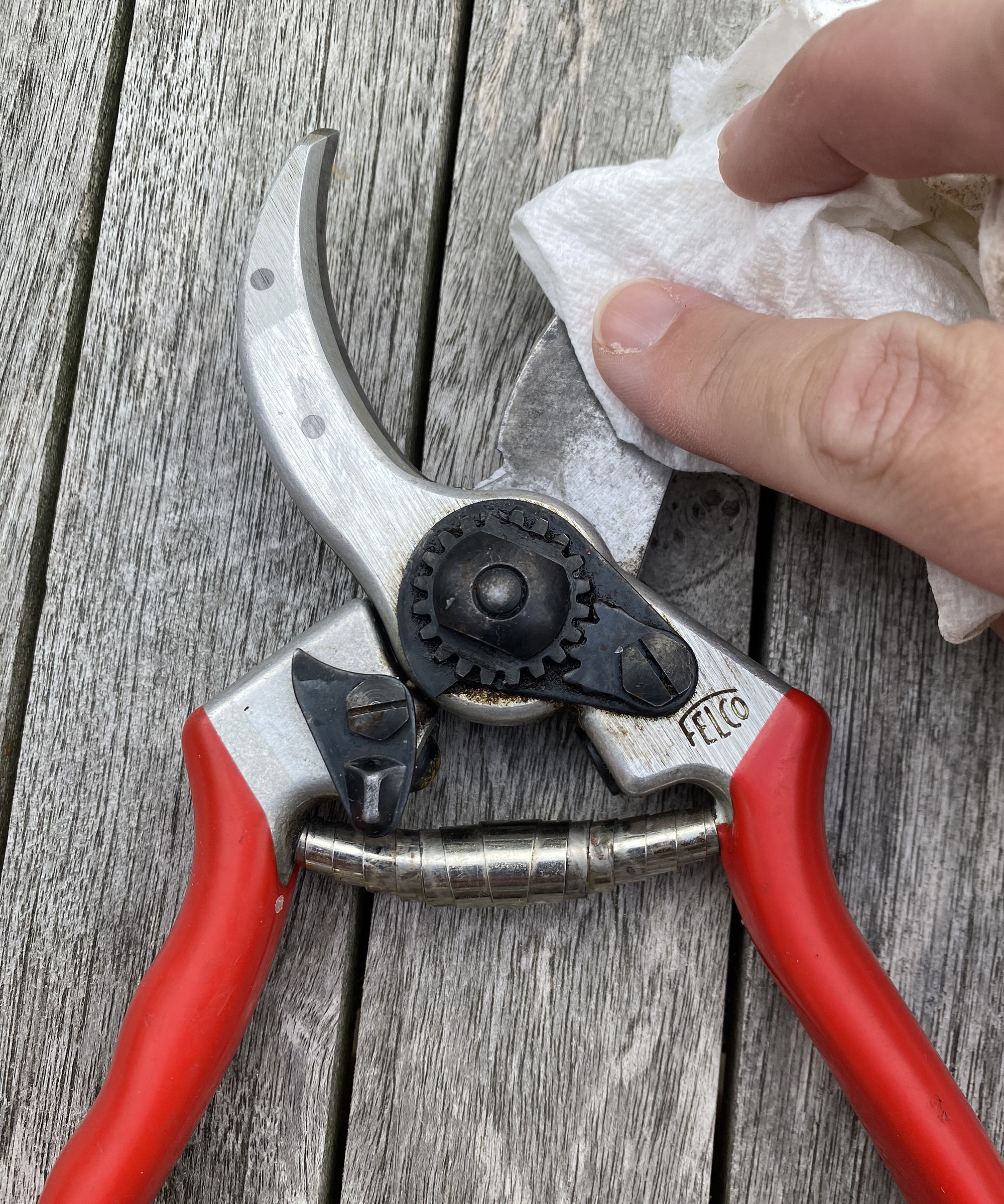Wiping pruners clean