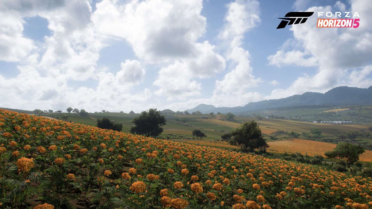 Official screenshot of the Forza Horizon 5 world.