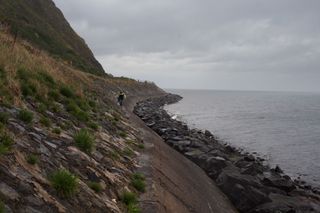 On a cool, misty morning, the research team makes their way along the top of a seawall toward the research site.