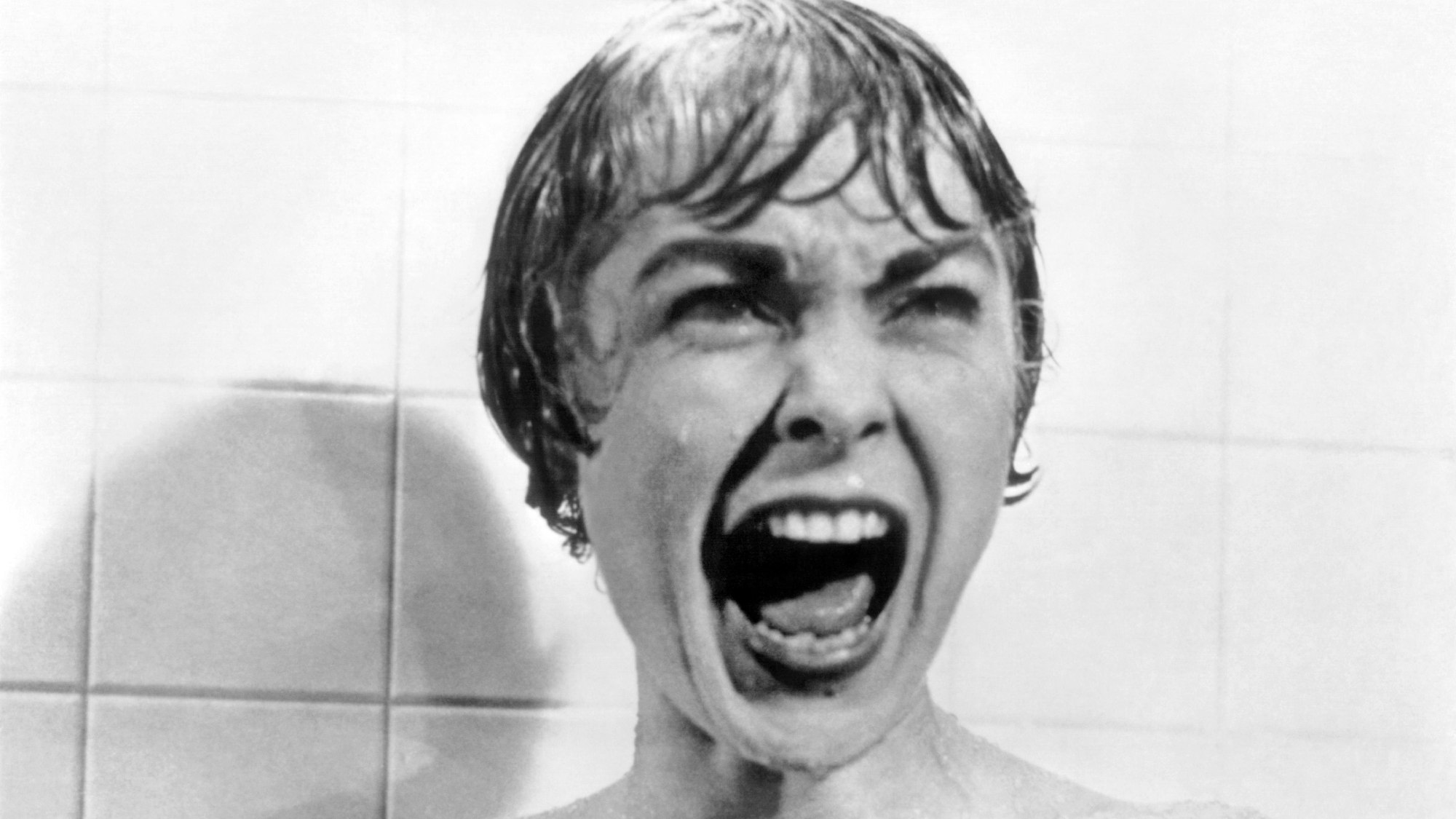 Janet Leigh in Psycho