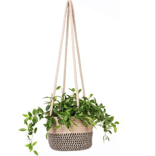 Amazon hanging planter