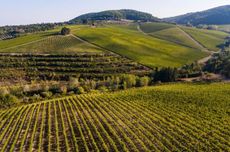 investing in supertuscans