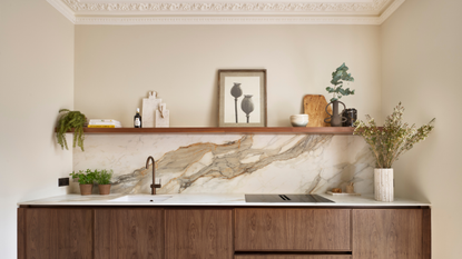 A dark wood kitchen head on with off white walls, a dramatic veining in the light marble countertop and an open shelf running the whole way along styled with plants, greenery and pots