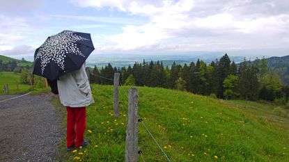 A woman stands under an umbrella on a country road.