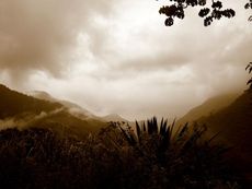 colombia-sierra-nevada-de-santa-marta-100831