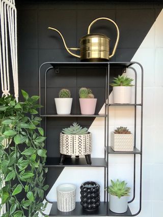 Black shelving in tiny porch with plants