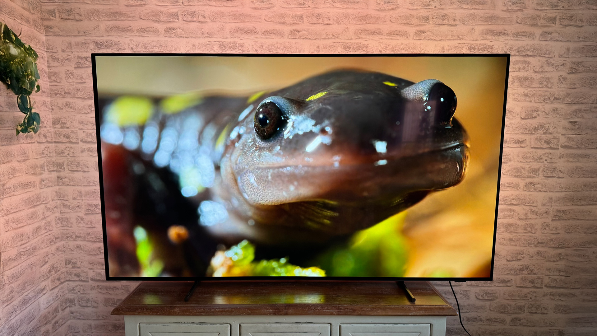 Philips OLED760 OLED TV in front of brick wall, on screen is amphibian
