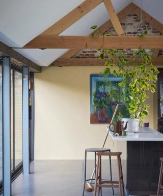 Yellow kitchen with large windows and lots of natural light