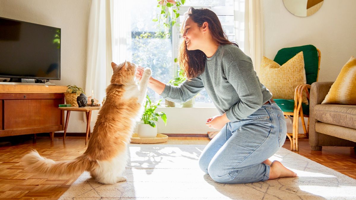 Woman training her cat