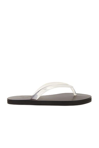 Saionara Jelly Flip Flop