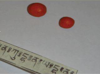 An image of two red pellets.