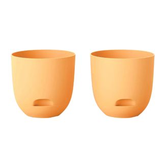 Two orange Self-Watering Plastic Planter Pots