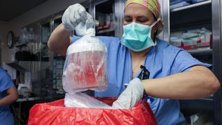 a woman in blue scrubs, gloves and a face mask removed a bagged organ in a jar in preparation for surgery