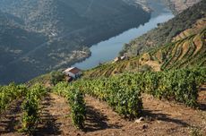 Douro Valley