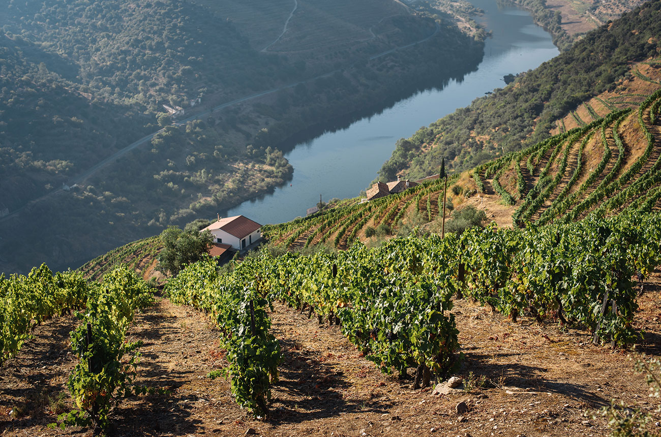 Douro Valley