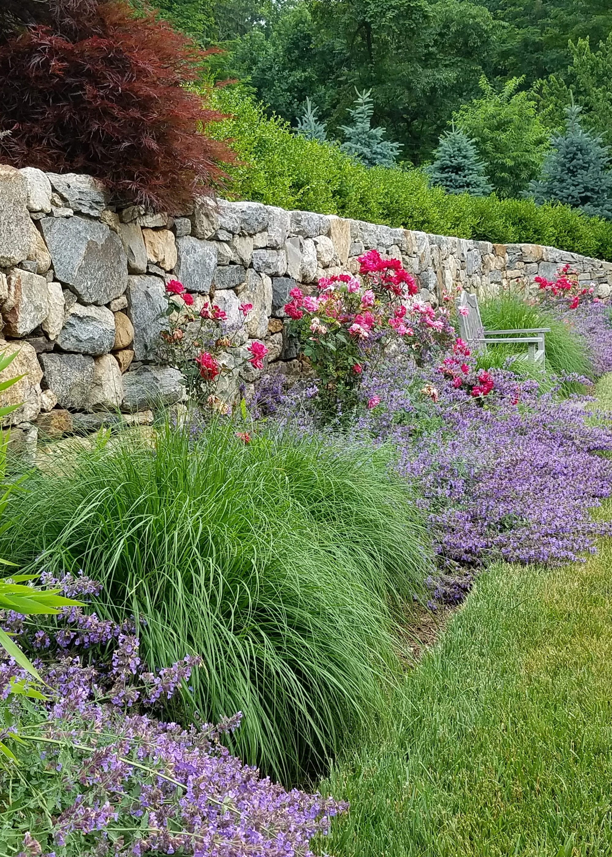 a rock garden wall with wild planting in front of it and a lawn