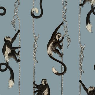 Grey wallpaper with monkeys hanging and playing on ropes