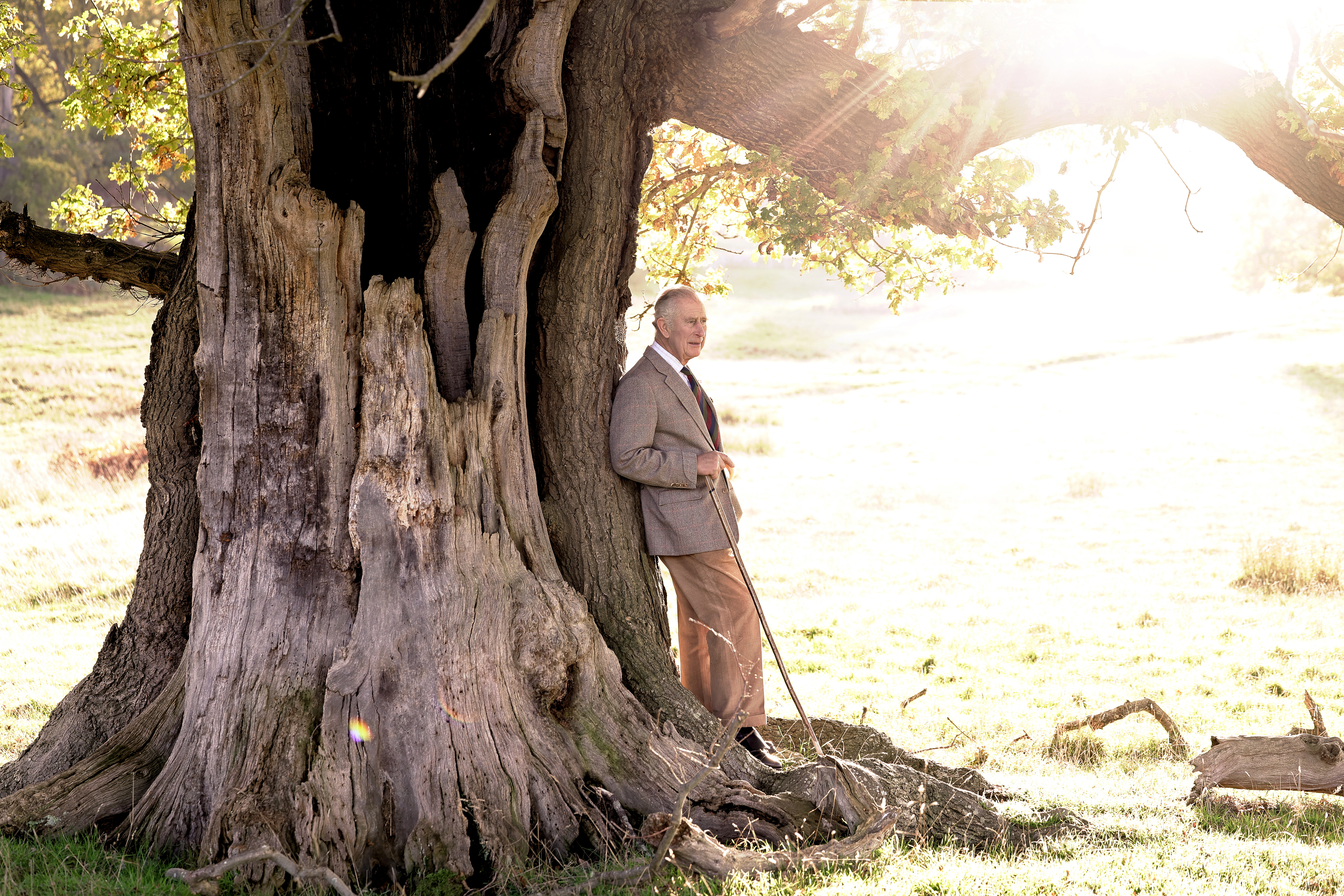 King Charles in a tweed blazer relaxing against a tree