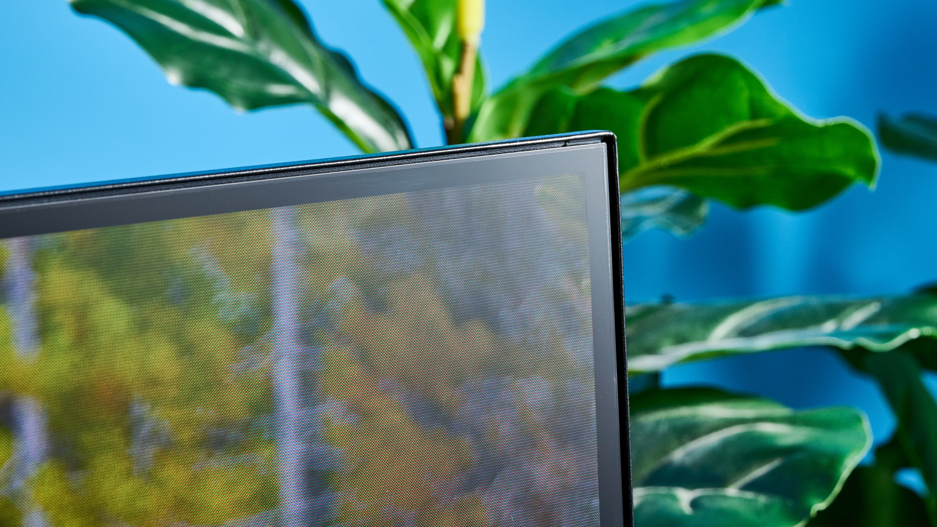 the amazon ember 4-series TV photographed against the blue tom's guide background