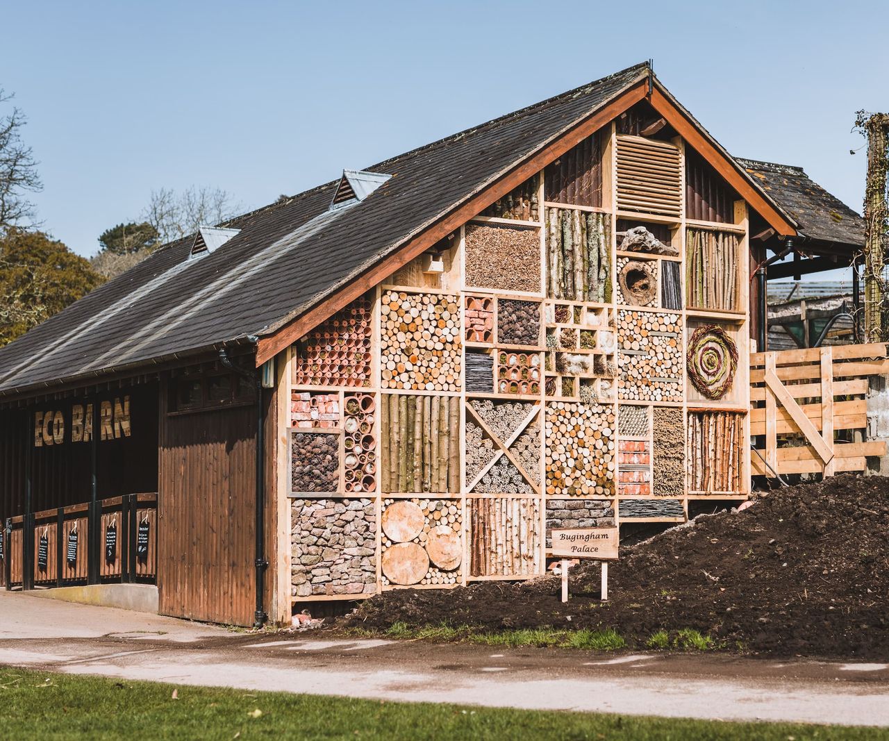 A living wall on an outbuilding with features created to encourage wildlife like bamboo sticks
