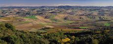 brunello
