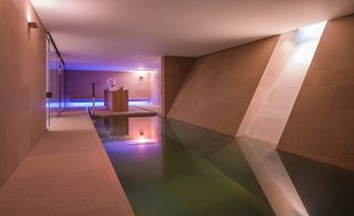 The basement pool and spa