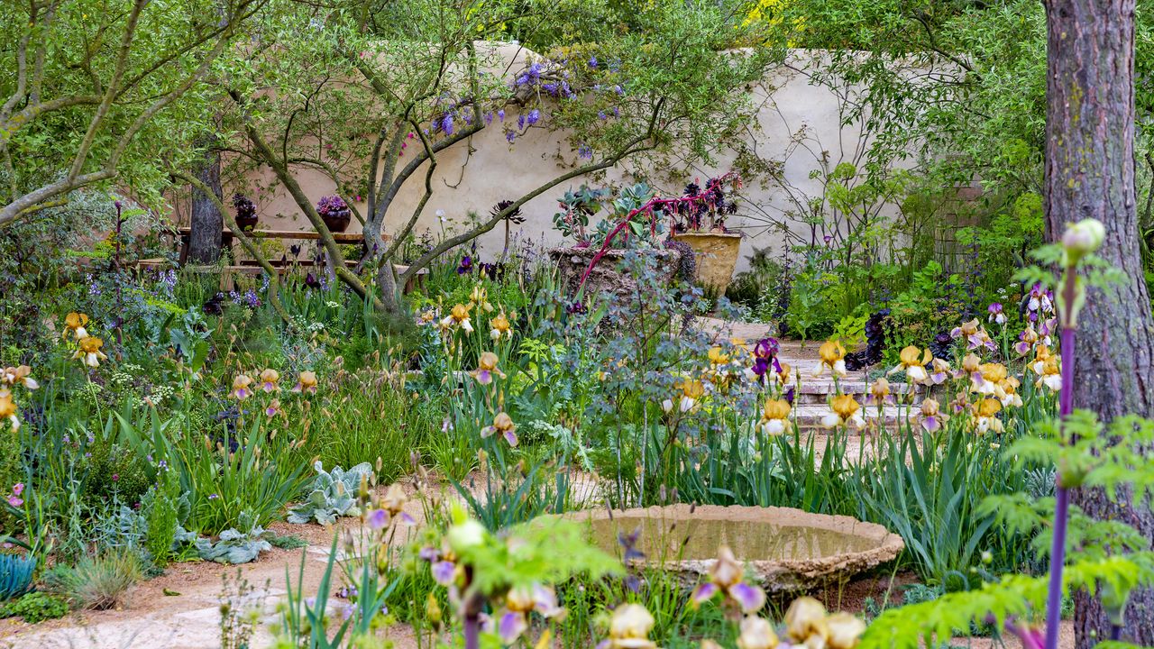 Chelsea Flower Show sensory garden