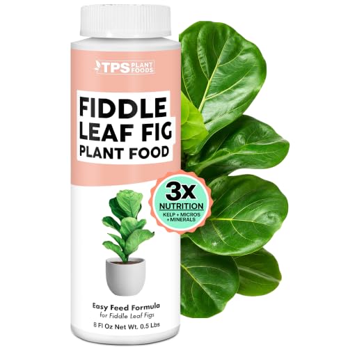 Fiddle Leaf Fig Plant Food &amp;ndash; Liquid Fertilizer for Bigger Leaves, Stronger Roots &amp;amp; Healthy New Growth, 8oz