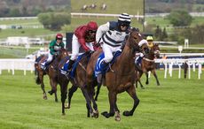 Willberry_Wonder_Pony_Cheltenham-615_original-1.jpg
