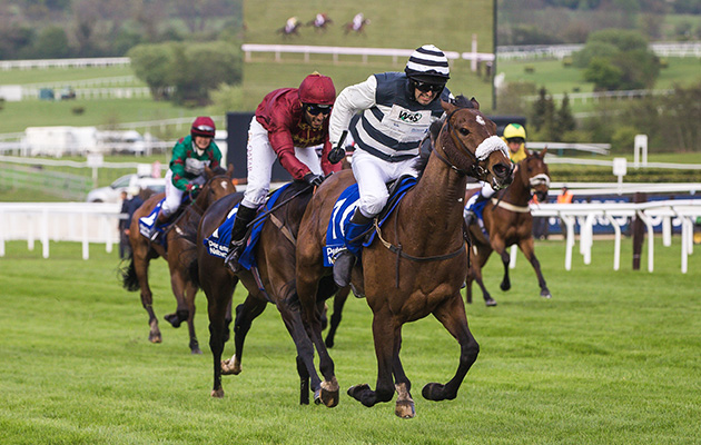 Willberry_Wonder_Pony_Cheltenham-615_original-1.jpg