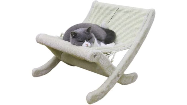 best cat hammock