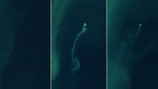 Side-by-side satellite photos showing the emergence and disappearance of a small island in the ocean