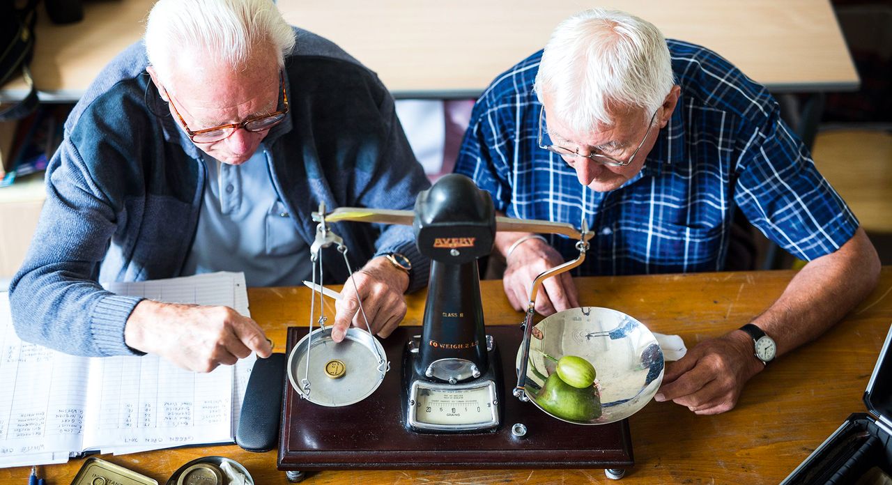 Judges weigh a giant gooseberry at the Egton Bridge Gooseberry Show in the North Yorkshire Moors. The show is the oldest surviving Gooseberry show in the country, established in 1800.