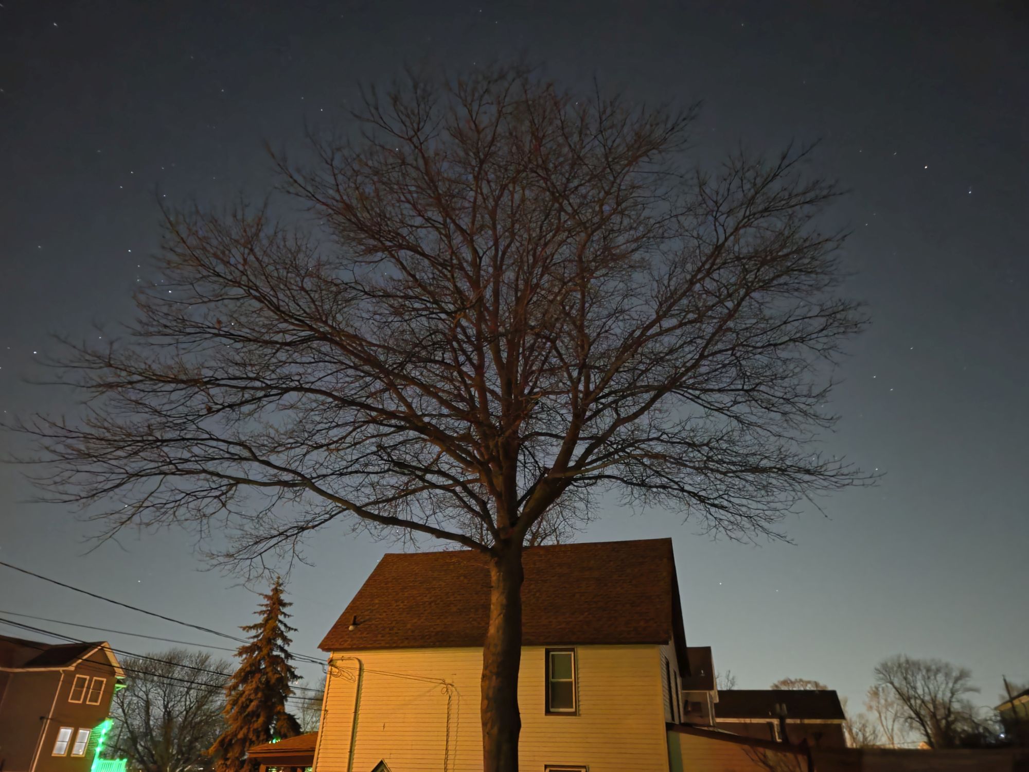 Samsung Galaxy S26 camera sample.