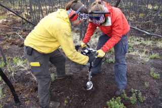 Merritt Turetsky's team samples frozen permafrost soils in Alaska and Canada to understand how past soil types have influenced the ability of Arctic ecosystems to cope with modern environmental change.