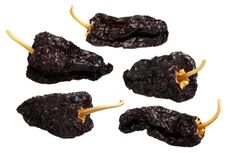 Five Mulato Chili Peppers